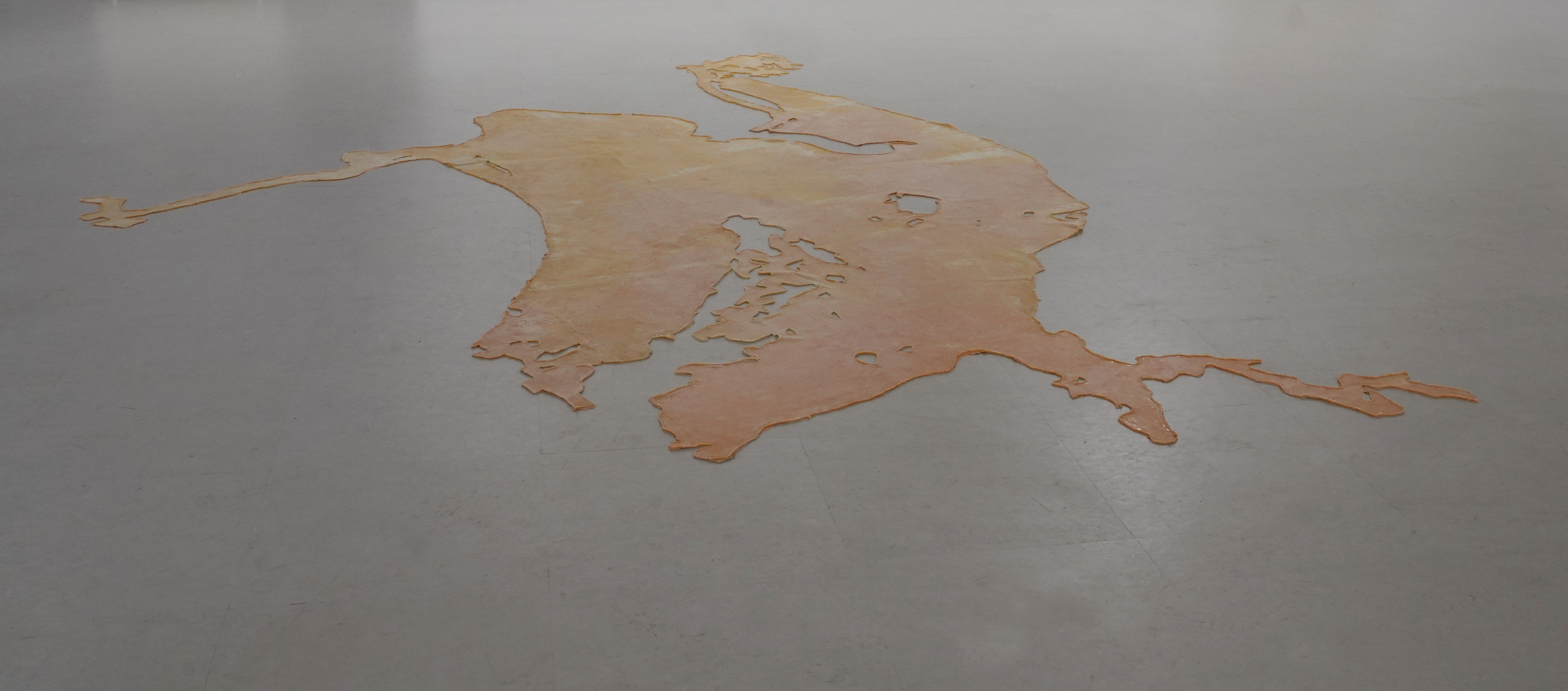 Ombre des Amazonies [Sombra das Amazônias]