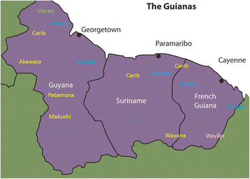 Fig. 1 Map of the Guianas with schematic locations of the
indigenous groups relevant to our study, based on the linguistic
map of South America (http://www.muturzikin.com/cartesamerique/
7.htm). Carib-speaking groups are indicated in yellow, Arawak-speaking
groups in blue, Tupi-speaking Wayãpi in pink and the Warao-speaking
group in green