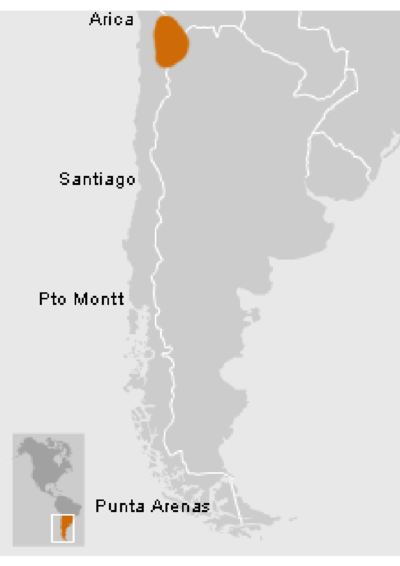 Atacameños - Location