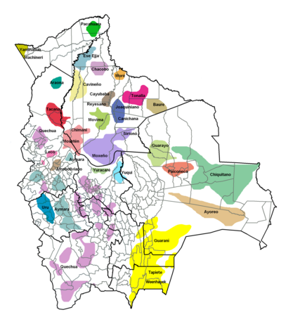 Las formas de propiedad y su registro: las tierras indígenas y recursos naturales